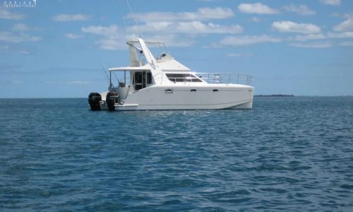 Amazing Whale Growler 950 VT Power Catamaran - SDI - Schionning Designs International