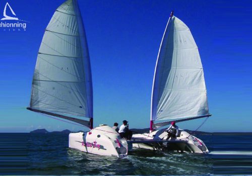 Radical Bay 800 Catamaran Schionning Designs